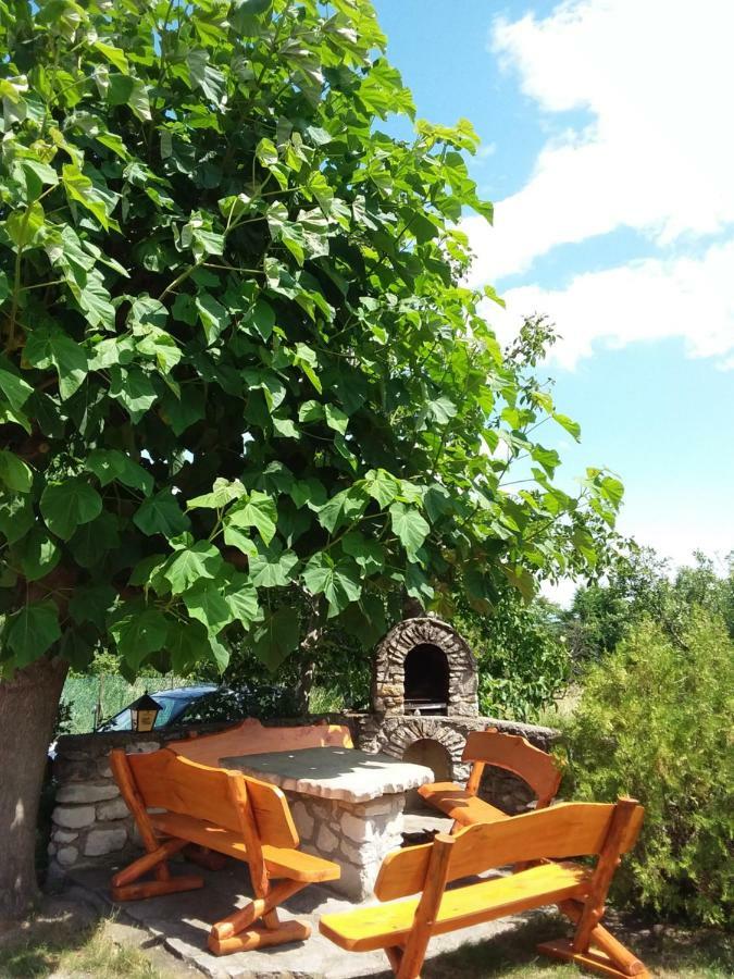 Szentesi Panzio Bed & Breakfast Fertőrákos Eksteriør bilde