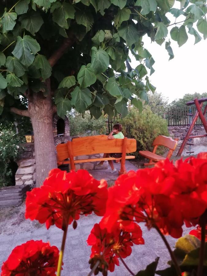 Szentesi Panzio Bed & Breakfast Fertőrákos Eksteriør bilde