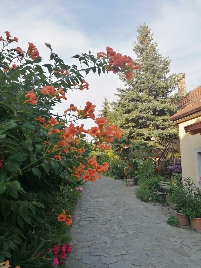 Szentesi Panzio Bed & Breakfast Fertőrákos Eksteriør bilde