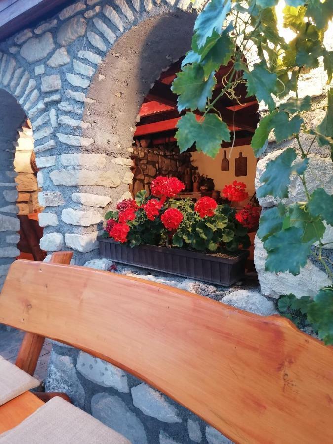 Szentesi Panzio Bed & Breakfast Fertőrákos Eksteriør bilde