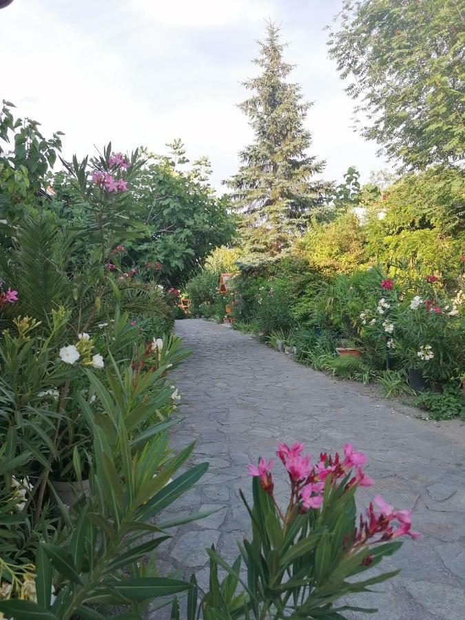Szentesi Panzio Bed & Breakfast Fertőrákos Eksteriør bilde