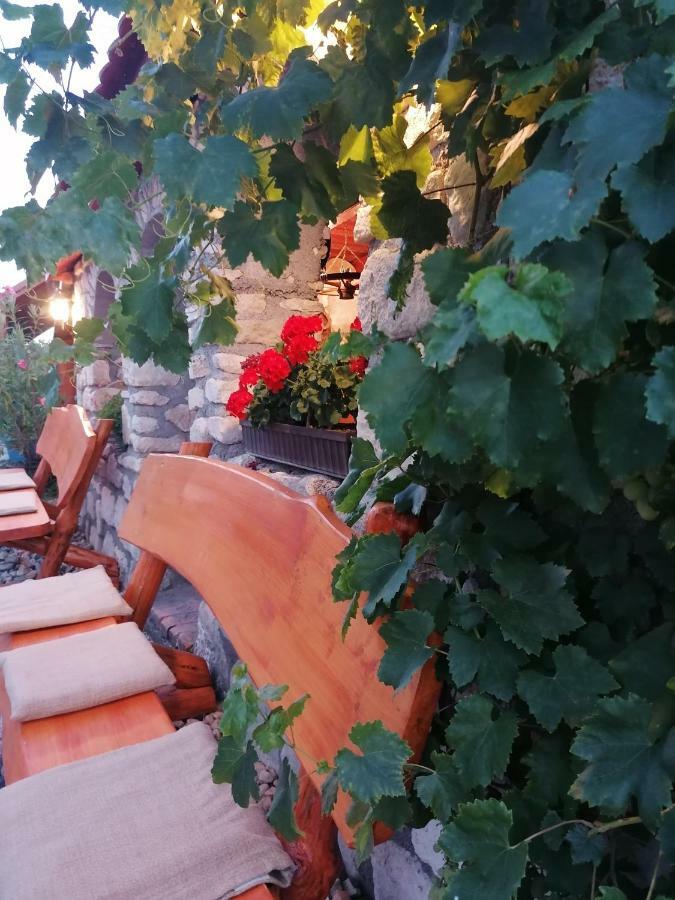 Szentesi Panzio Bed & Breakfast Fertőrákos Eksteriør bilde