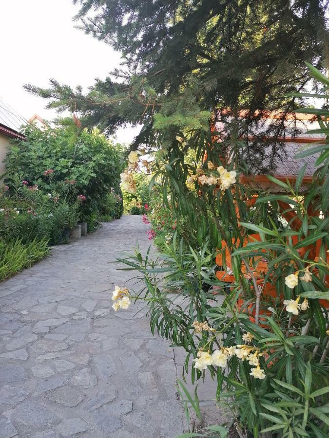 Szentesi Panzio Bed & Breakfast Fertőrákos Eksteriør bilde